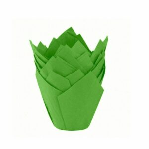 TULIPA VERDE NR16 X50UND