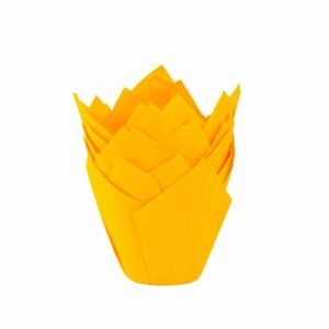 TULIPA AMARILLO NR16 X50UND