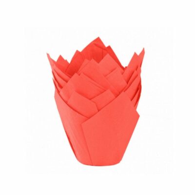 TULIPA ROJA NR16 X50UND