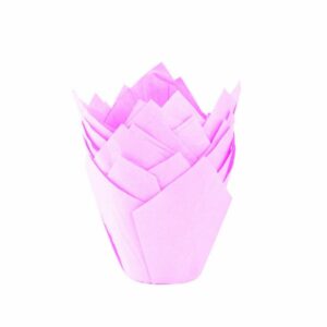 TULIPA ROSA NR16 X50UND