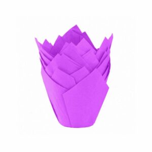 20260220115425_81557 TULIPA VIOLETA NR16 X50UND