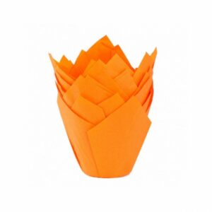 TULIPA NARANJA NR16 X50UND