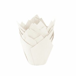TULIPA BLANCO NR16 X50UND