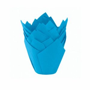 TULIPA CELESTE NR16 X50UND