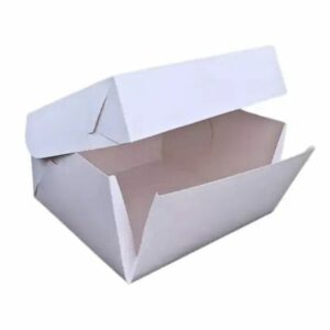 CAJA TORTA ROMI 22x22x12 (10 UNID)