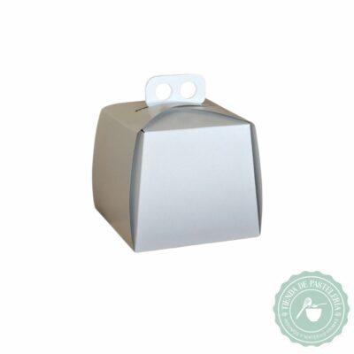 CAJA TORTA CON MANIJA 21x21x11 (10 UNID)