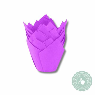 TULIPA VIOLETA NR16 X50UND