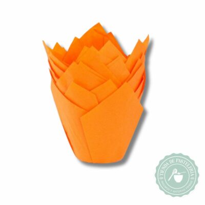TULIPA NARANJA NR16 X50UND