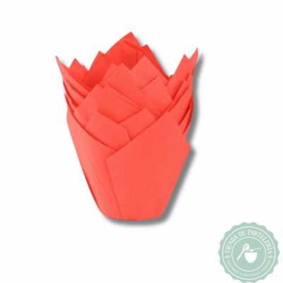 TULIPA ROJA NR16 X50UND