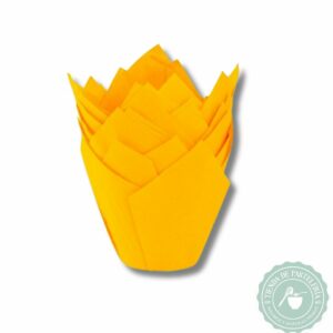 TULIPA AMARILLO NR16 X50UND