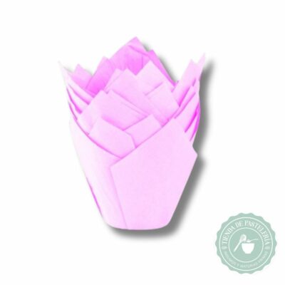 TULIPA ROSA NR16 X50UND